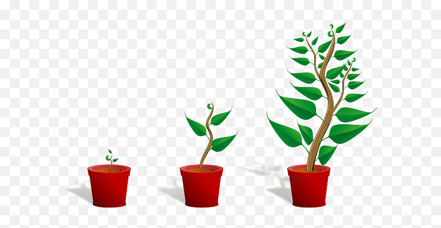 Free Photo Tree Emotions Growth Feelings Emoji Love Roots - Plant Clip Art,Stingray Emoji