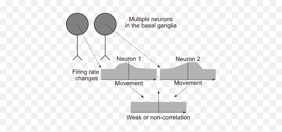 Nipsresearch - Vertical Emoji,Emotion Regulation Feedforward Pathway Nipsresearch - Vertical Emoji,Emotion Regulation Feedforward Pathway