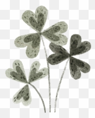 Marissa Solini Photography - Clover Emoji,4 Leave Clover By The Emotions