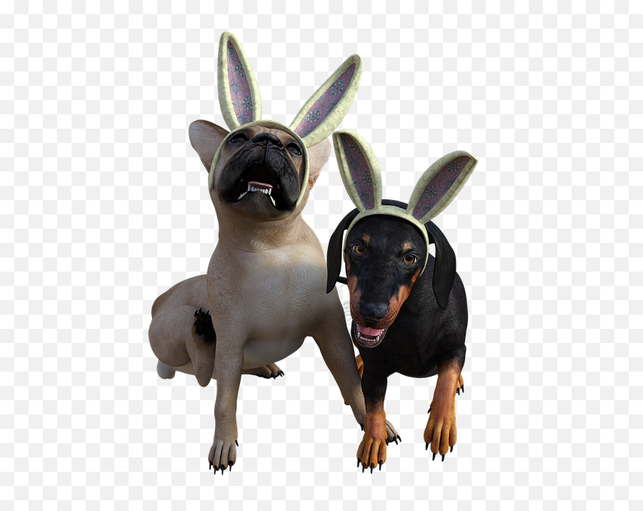 Free Photo Puppy Doggy Dogs Bulldog Easter Bunny - Max Pixel Emoji,Dog Jump Emotions