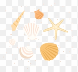 Unt Holiday Vocabulary Test Baamboozle Emoji,Summer Emojis Sea Shell