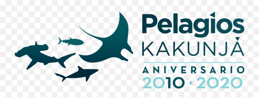 Studying Sharks With Pelagios U2014 Pelagios Kakunja Emoji,Spanish Emotions And Doubt Structure