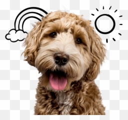 Coverage Emoji,Service Dog Emoji