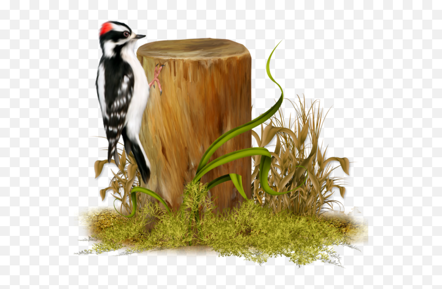 The Most Edited - Hairy Woodpecker Emoji,Woodpecker Emoji