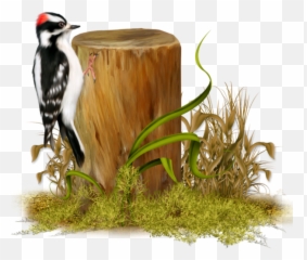 The Most Edited - Hairy Woodpecker Emoji,Woodpecker Emoji