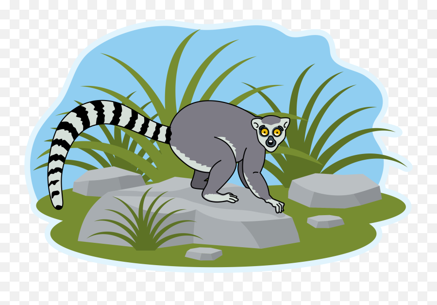 Lemur Clipart Free Download Transparent Png Creazilla - Lemur Emoji,Possum Emoji