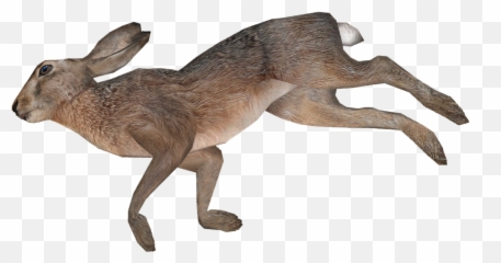 Animal Carcasses - Dead Animal Clipart Emoji,Dead Deer Emoji