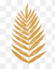 Golden Fern Throw Pillow By Apricotbirch - Cover 16 X 16 Drawing Simple Fern Leaf Black And White Emoji,Emoji Single Duvet Cover