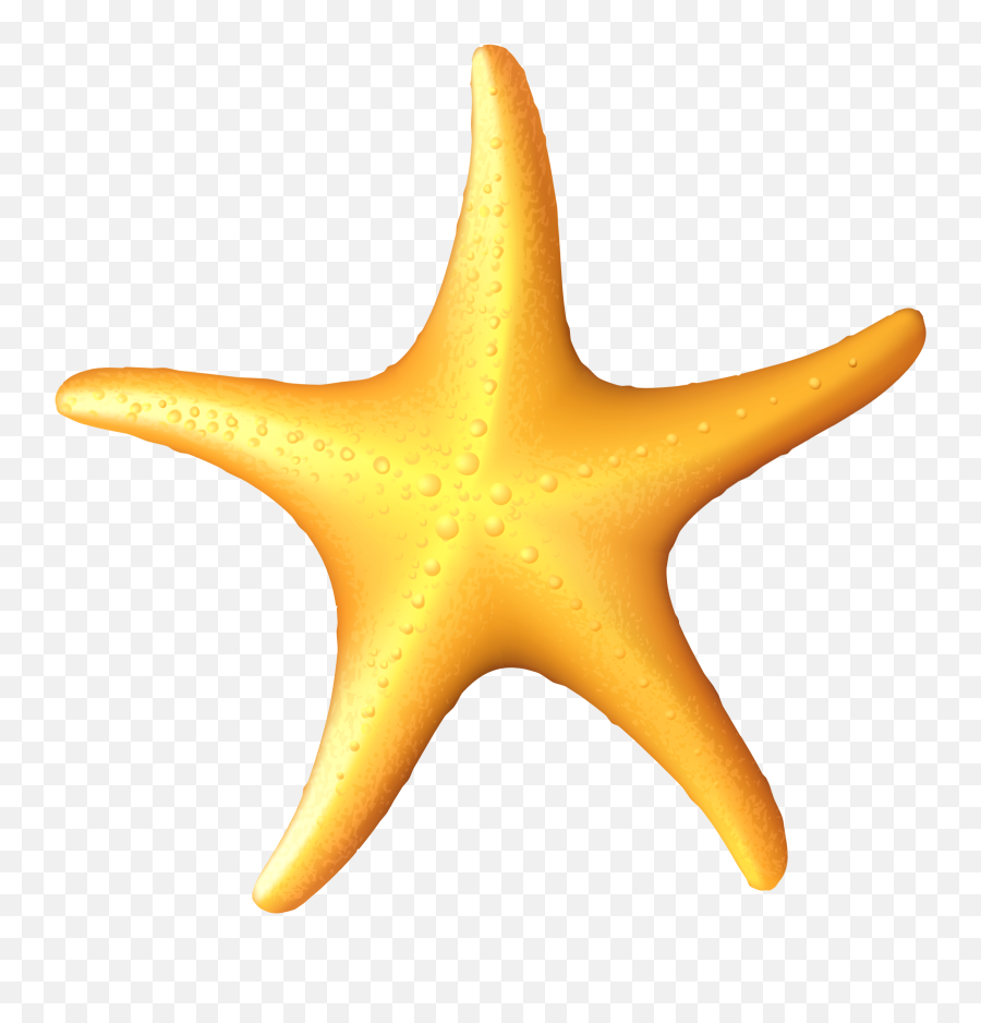 Starfish Clipart Png - Under The Sea Star Fish Clipart Emoji,Deviant Art Starfish Emoticon