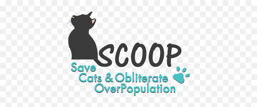 Hopeu0027s Story Black Cat Abuse Cat Rescue Scoop - Language Emoji,Facebook Cat Emotions