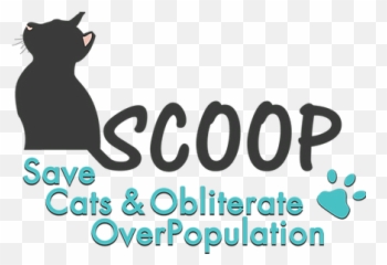 Hopeu0027s Story Black Cat Abuse Cat Rescue Scoop - Language Emoji,Facebook Cat Emotions