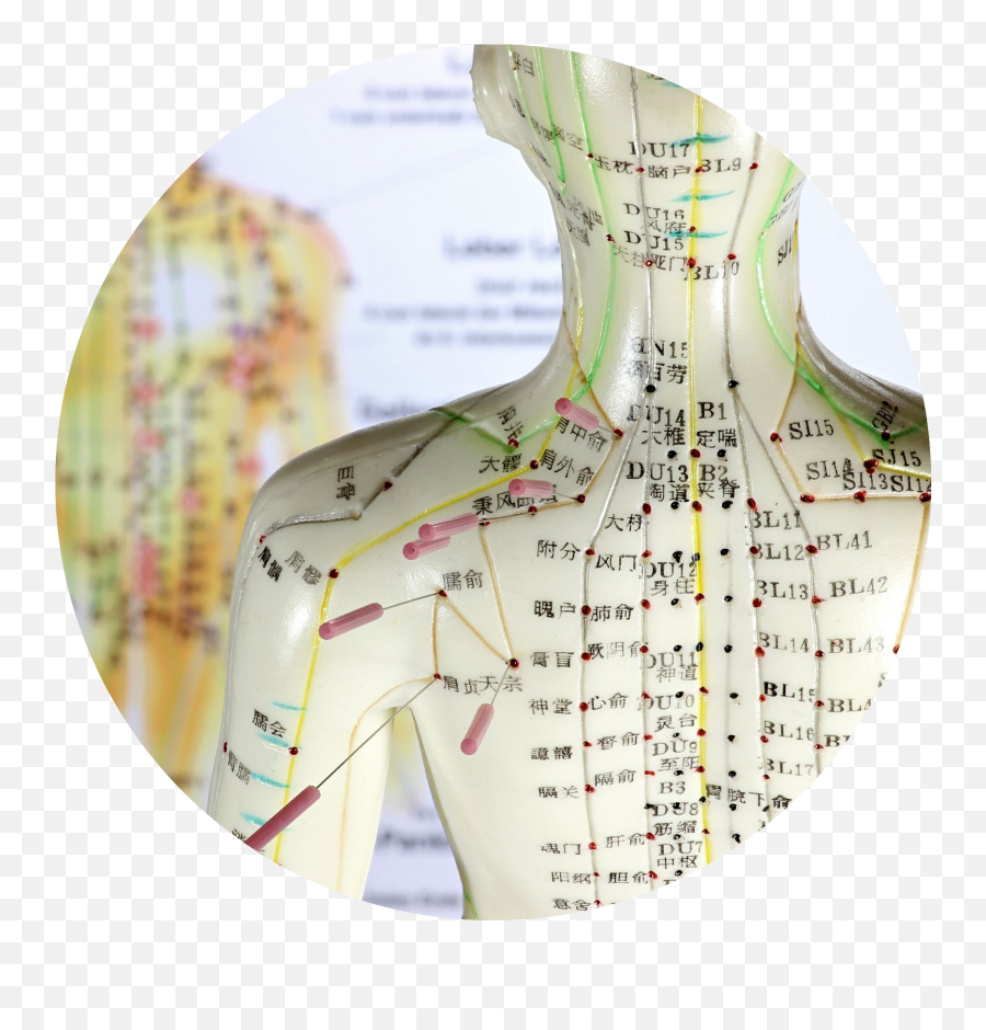 Acupuncture - Galit Hughes Meridian Lines Acupuncture Emoji,Tcm Emotions Stored In The Calves