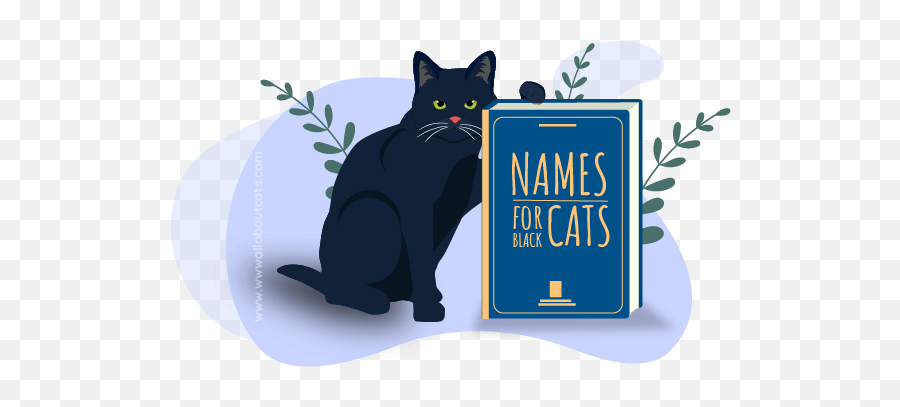 210 Popular Names For Black Cats - All About Cats Nombres Gatos Negros Disney Emoji,How Do You Make A Nyan Cat Emoticon