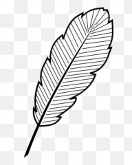 Feather Outline Black And White Clipart Free Svg File - Dot Emoji,Snow Falke Emoji