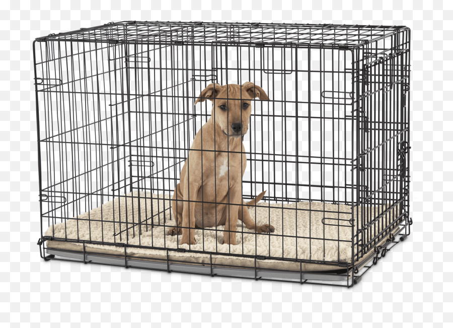 You U0026 Me 2 - Door Folding Dog Crate 36 L X 23 W X 24 H Emoji,I Am A Cagee To Your Emotions