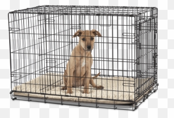 You U0026 Me 2 - Door Folding Dog Crate 36 L X 23 W X 24 H Emoji,I Am A Cagee To Your Emotions