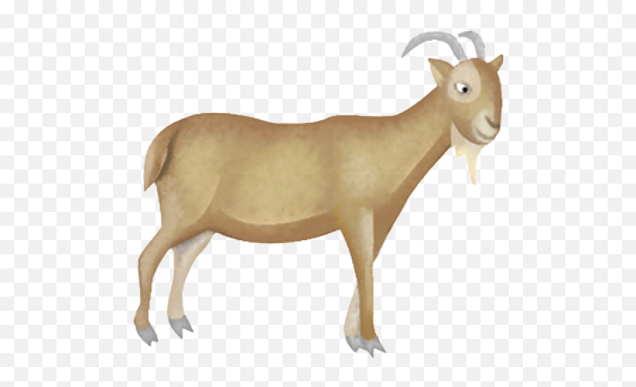 Everybody Up Starter Unit 5 Lesson 2 Farm Animals Psk2 Emoji,Gaot Emoji