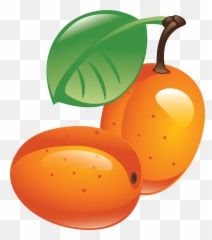 Sea Buckthorn Png Emoji,Mango Emoji