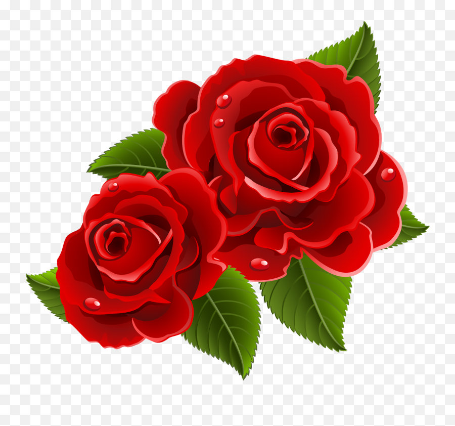 Beautiful Red Rose Pics Download - Happy Anniversary Wife Emoji,Emotions Wallpaper Download