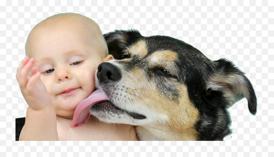 Emotions Archives - Babys And Pets Emoji,Baby Emotions