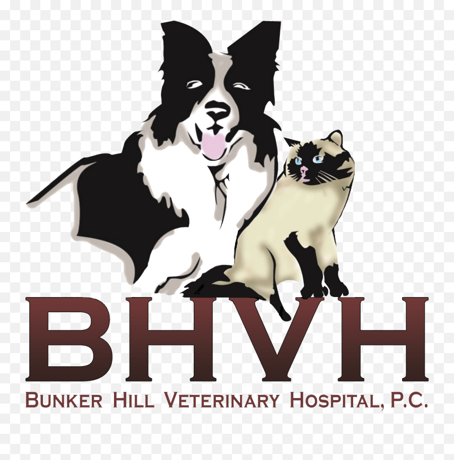 Bunker Hill Veterinary Hospital P - Blue Hub Capital Logo Emoji,The Best Animal Emotion Support Lifetime