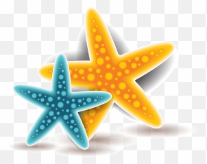 Vector Colored Starfish Png Download Emoji,Deviant Art Starfish Emoticon