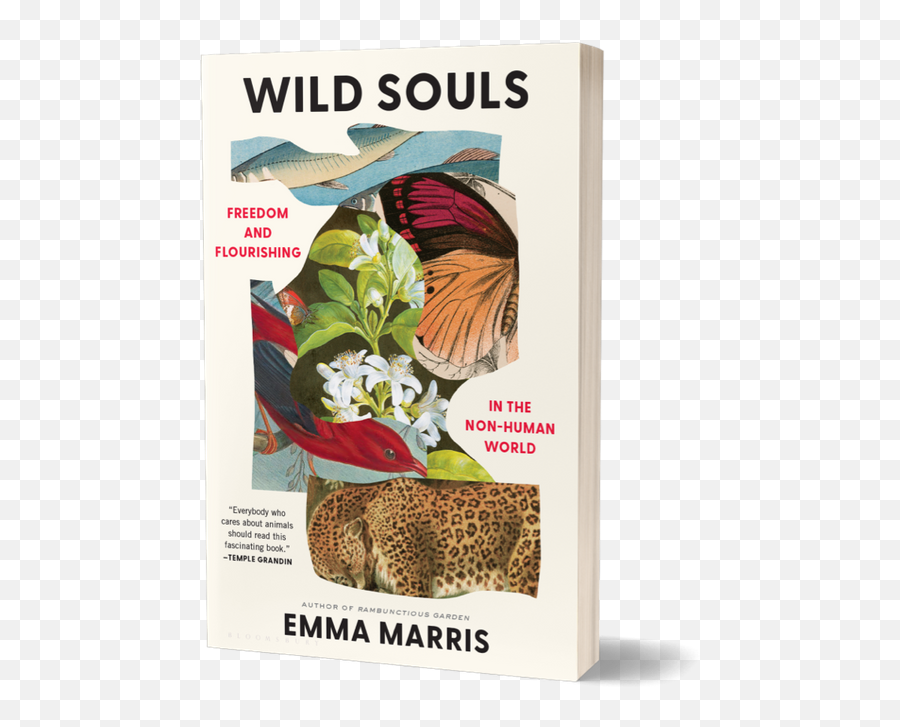 Writing - Wild Souls Emma Marris Book Cover Emoji,Life In Emotions Joseph Jacobs