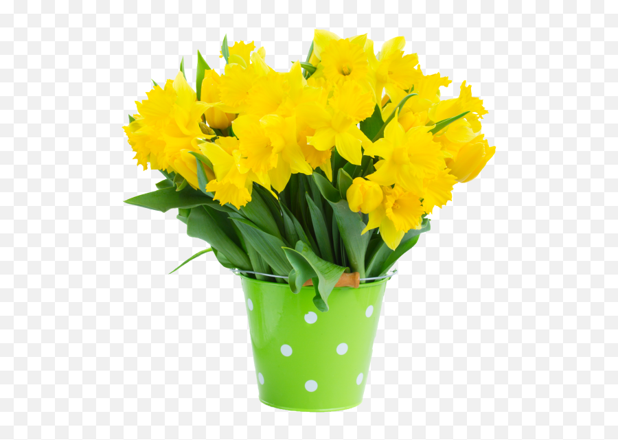 Download Hd Narcissus Flower - Bouquet Transparent Png Image Emoji,Daffodil Emoticon Facebook