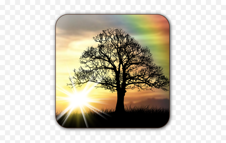 Privacygrade - Kill A Mockingbird Poster Ideas Emoji,Drink Sunrise Emoji