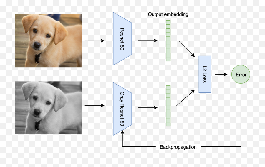 Emotion Detector With Transfer Learning - Collar Emoji,Giving Human Emotions To Animals