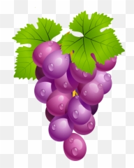Grapes Clipart 1 Clipart Kids Pedia - Clipartix Grapes Clipart Emoji,Emojis Pedia
