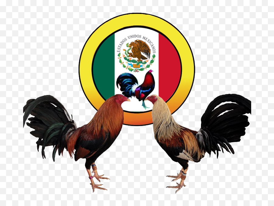 Gallos Sticker By Ole Emoji,Calcomanias De Emojis