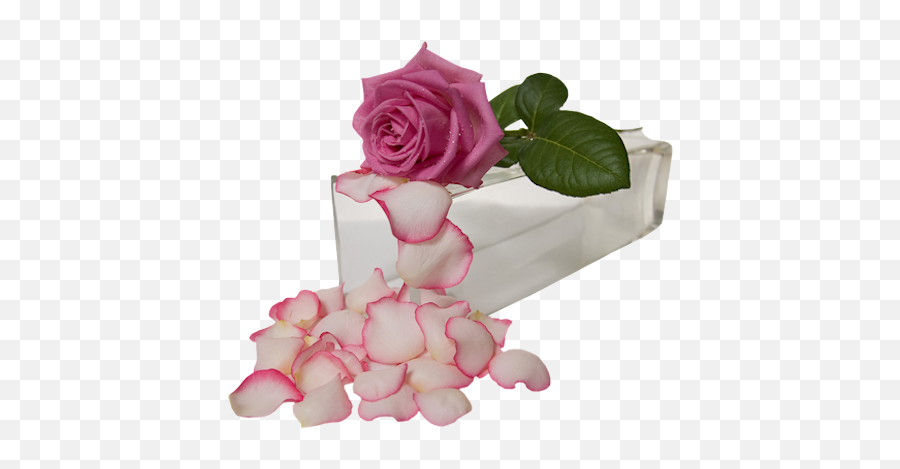 Foro - Love Flower Love Good Night Emoji,Dedo De Enmedio Emoticon