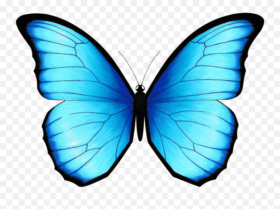 Blue Morpho Medicine - Girly Emoji, Blue Morpho Medicine - Girly Emoji,
