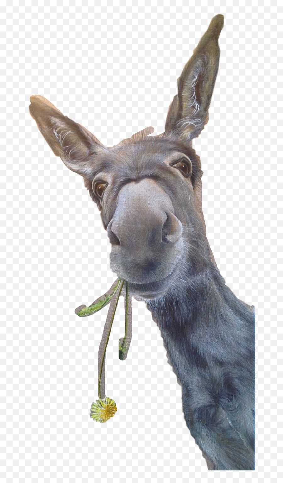 Donkey Sticker By Astrid - Mule Emoji,Mule Emoji