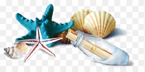 Nautical Beach Crafty Fun Parties Emoji,Summer Emojis Sea Shell