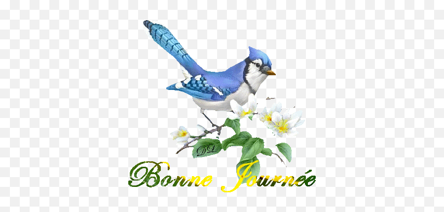 Top Blue Bird Stickers For Android U0026 Ios Gfycat - Blue Jays Gif Transparent Emoji,Blue Bird Emoji