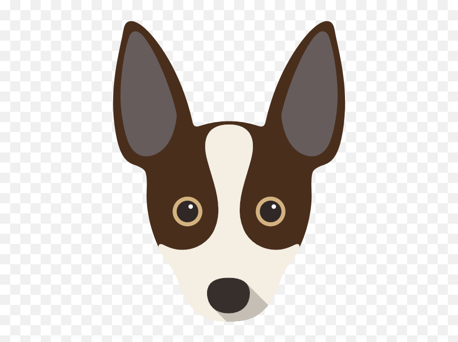 Create A Tailor - Made Shop Just For Your Rat Terrier Emoji,Rat Faces Emojis