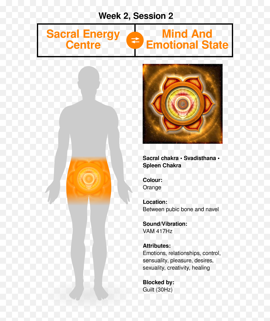 The 8 Week Quantum Upgrade - Waistline Emoji,Spleen Emotion