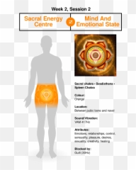 The 8 Week Quantum Upgrade - Waistline Emoji,Spleen Emotion