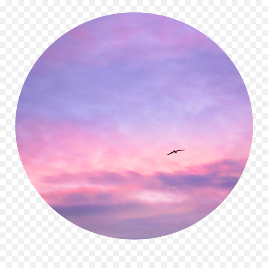 Sunset Bird Pfpicon Circle Sticker - Circle Emoji,Sunset And Bird Emoji
