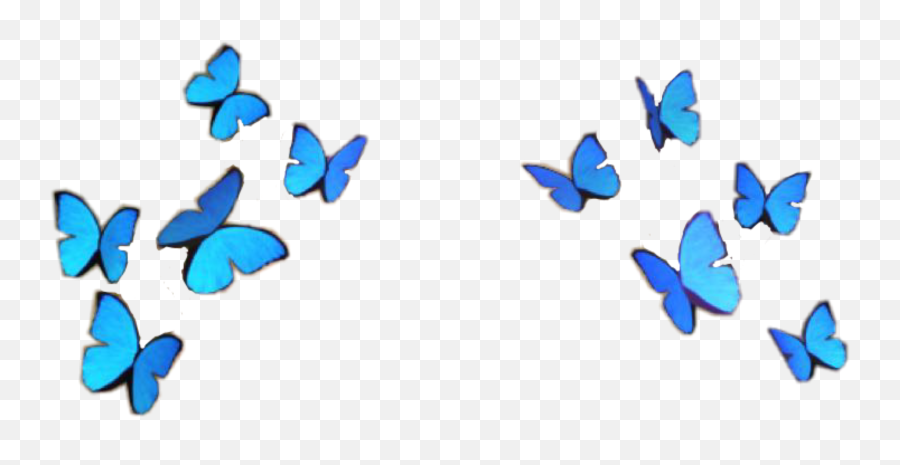 Discover Trending - Butterfly Crown Snapchat Filter Blue Emoji,Snap Chat Emojis