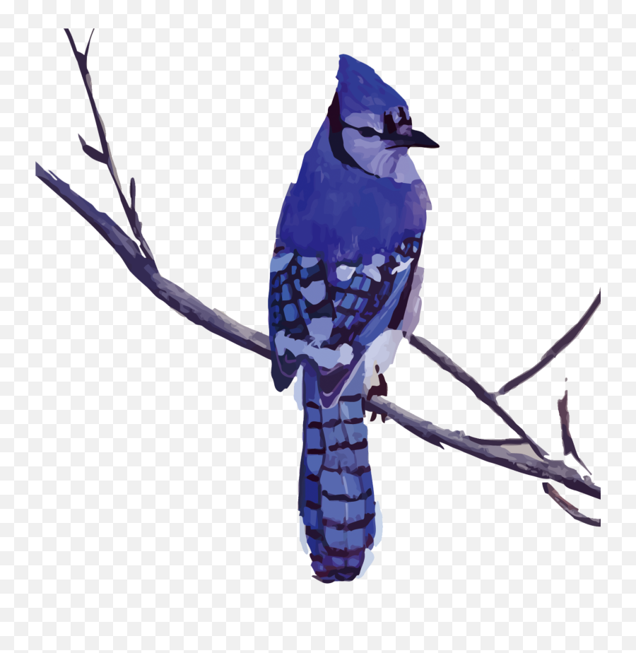 Ftestickers Watercolor Painting Sticker By Pennyann - Cartoon Drawing Cartoon Blue Jay Emoji,Blue Jay Emoji