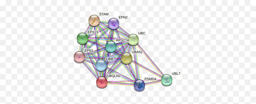 Ubqln2 Protein Human - String Interaction Network Dot Emoji,Emotion Regulation Crystal