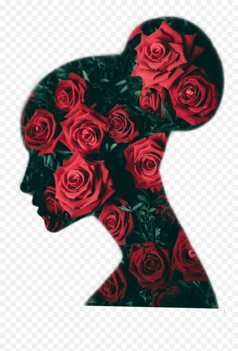 Portrait Roses Woman Sticker By Clash Of Colours Emoji,Headshot Emoticon Sillioette