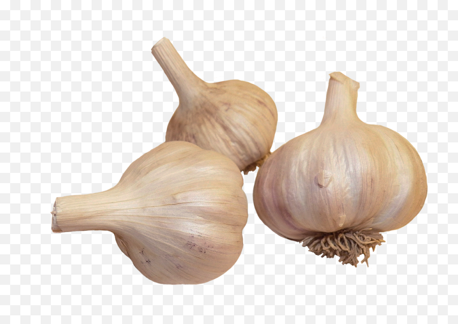 Vegetables Clipart - Elephant Garlic Emoji,Dancing Garlic Emojis