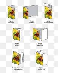 Grafica By The Sea The Blog Page 2 Emoji,Emotions Of The Accordion
