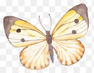Stellau0027s Light Healing Emoji,Black Butterfly Emoji
