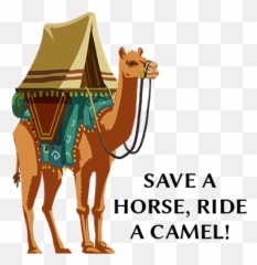 Silk Road Camel Stickers By Dig - It Games Emoji,Camel Emoji