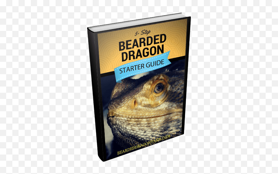 20 My Family Ideas Quotes Words Inspirational Quotes - Central Bearded Dragon Emoji,Bearded Dragon Emotions